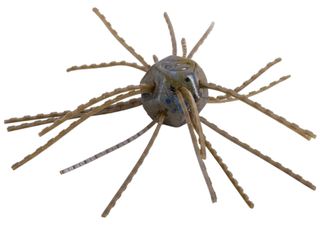 3" TUMBLEWEED SALTED BLUE CRAW 4PK