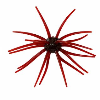 SPIDER MONKEY - FIREBALL