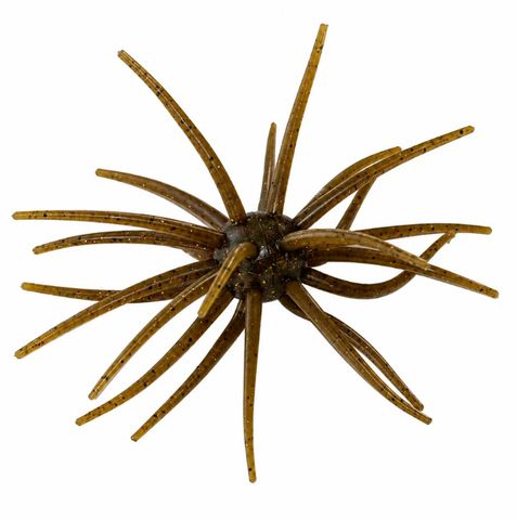SPIDER MONKEY - GREEN PUMPKIN MAGIC