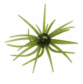 SPIDER MONKEY - WATERMELON SEED