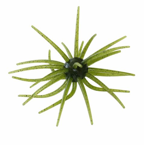 SPIDER MONKEY - WATERMELON SEED