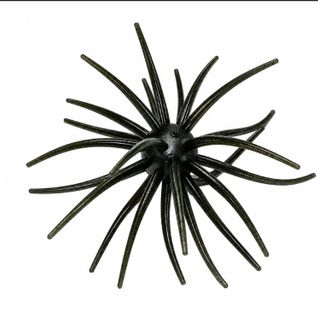 SPIDER MONKEY - DARK NITE