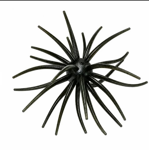 SPIDER MONKEY - DARK NITE