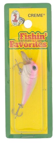 2-1/4" POND FAV. SHALLOW CLOWN CREME