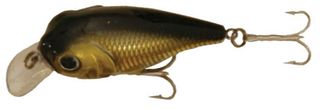 2-1/4" POND FAV. SHALLOW GOLD/BLACK CREME