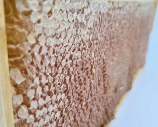 HONEYCOMB HALF FRAME