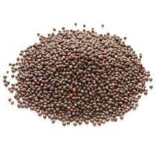 BROWN MUSTARD SEEDS 1KG