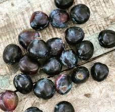 DAVIDSON PLUM FROZEN 1KG