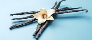 VANILLA BEANS - A GRADE 50G