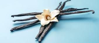VANILLA BEANS - A GRADE 50G