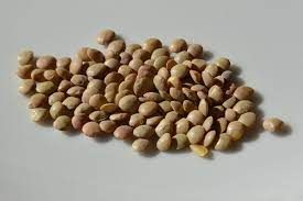 LENTILS GREEN/BROWN 1KG (T)