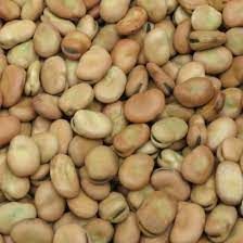 FABA BEANS 1KG