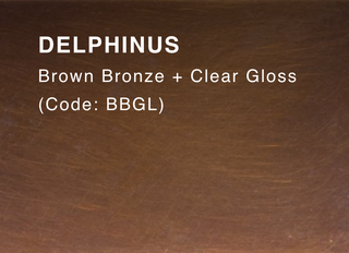 DELPHINUS (Brown Bronze & Clear Gloss)