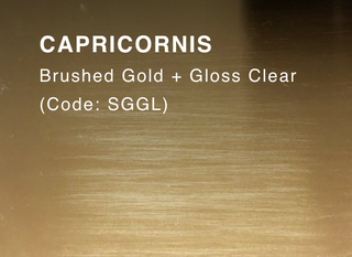 CAPRICORNIS (Brushed Gold & Clear Gloss)