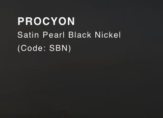 PROCYON (Pearl Black Nickel & Satin Lacquer)