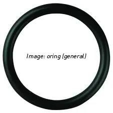 O-Ring / B-Lock+PinValve+Atype/  3/4” / BS119 EPDM90 /  Bag of 100