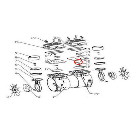 S/S Motor Inlet Valve (Reed)