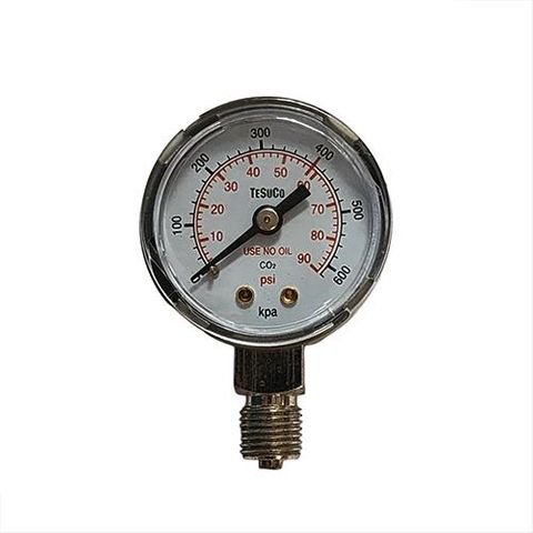 Gauge, 1/4" 0-600KPa