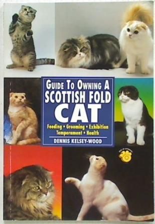 Guide to Owning a Scottish Fold Cat