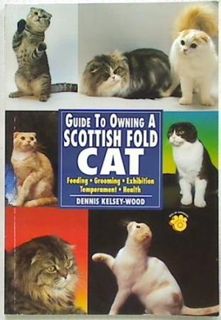 Guide to Owning a Scottish Fold Cat