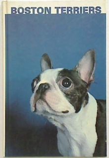 Boston Terriers