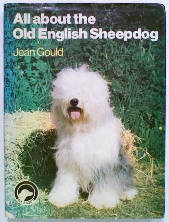 All About the Old English Sheepdog