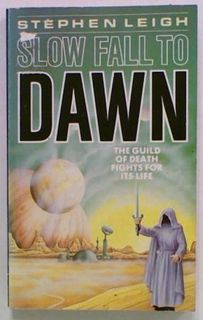 Slow Fall to Dawn. Book 1 in the Neweden series
