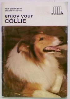 Enjoy your Collie