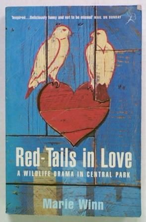 Red-Tails in Love