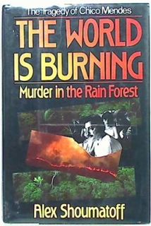 The World is Burning (Hard Cover)