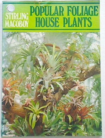 Popular Foliage House Plants