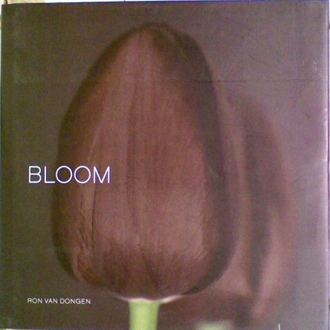 Bloom (Large Format)