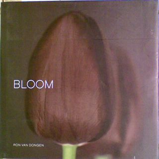 Bloom (Large Format)