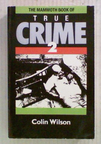 The Mammoth Book of True Crime 2