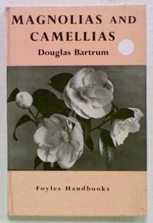 Magnolias and Camellias
