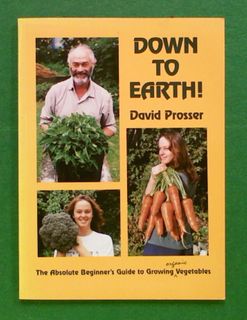 Down to Earth: The Absolute Beginner's Guide