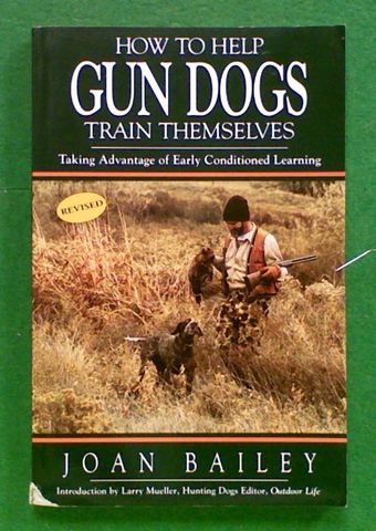 How to Help Gun Dogs Train Themselves
