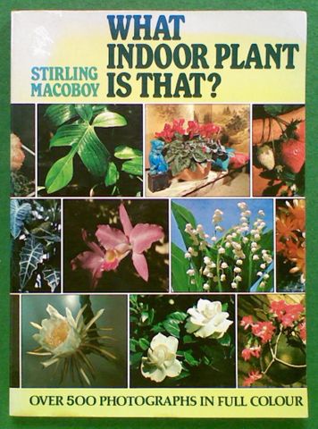 What Indoor Plant Is That?