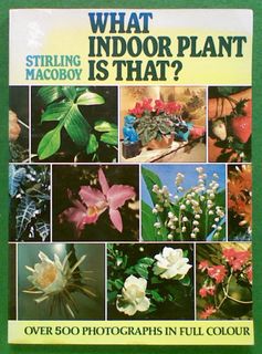 What Indoor Plant Is That?