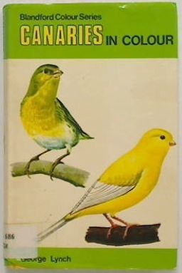 Canaries in Colour