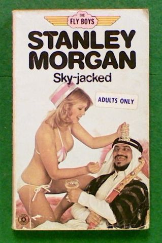 The Fly Boys: Sky-Jacked