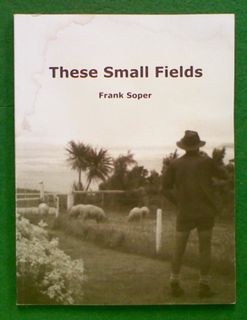 These Small Fields