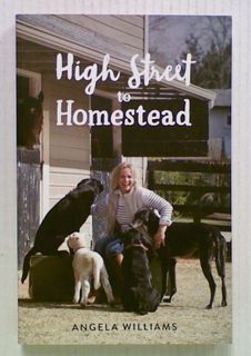 High Street to Homestead