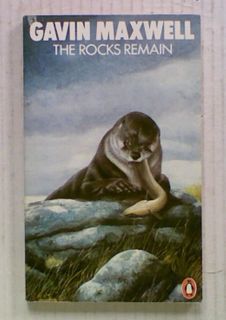 The Rocks Remain