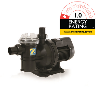 Zodiac Titan ZTS 1hp Pool Pump