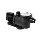 Astral Pool BX 1.5hp Pool Pump