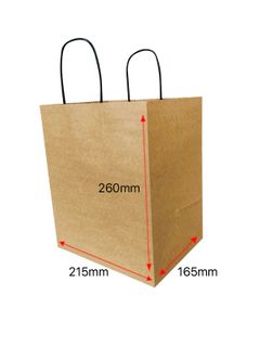 Twist Handle Paper Bags SMALL (250pcs)