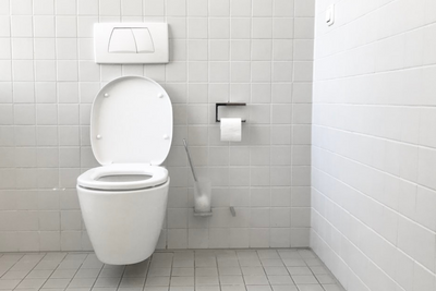 Everything You Need To Know Before Buying A Toilet