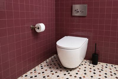 The Toilet Details Renovators Overlook