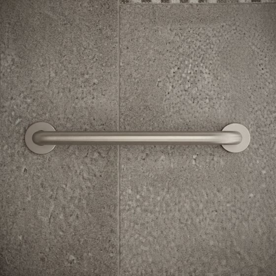 CARE / ASSIST GRAB RAIL